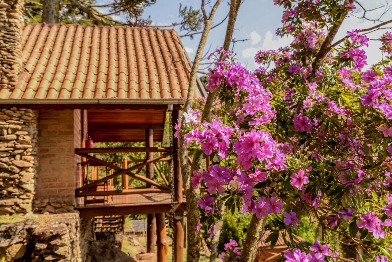 Chales Araucaria E Manaca Sao Bento do Sapucai Εξωτερικό φωτογραφία