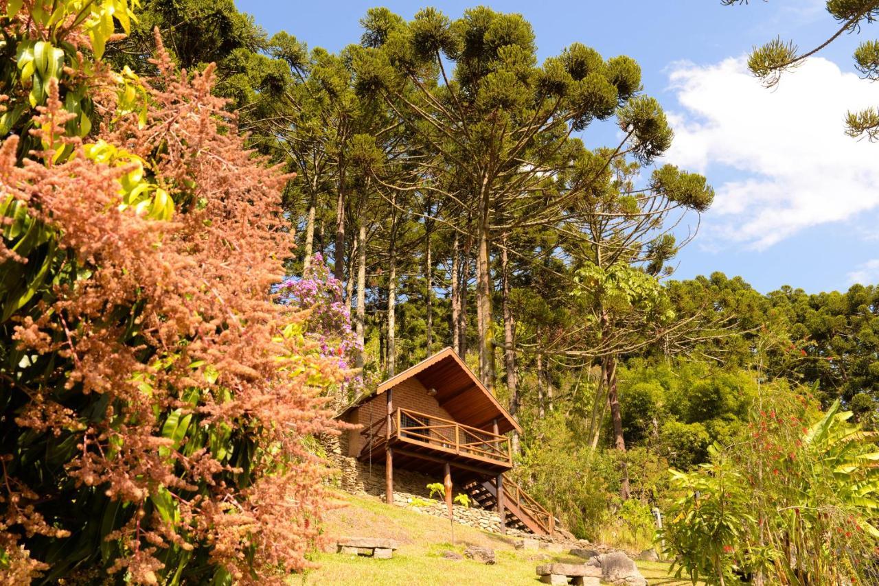 Chales Araucaria E Manaca Sao Bento do Sapucai Εξωτερικό φωτογραφία