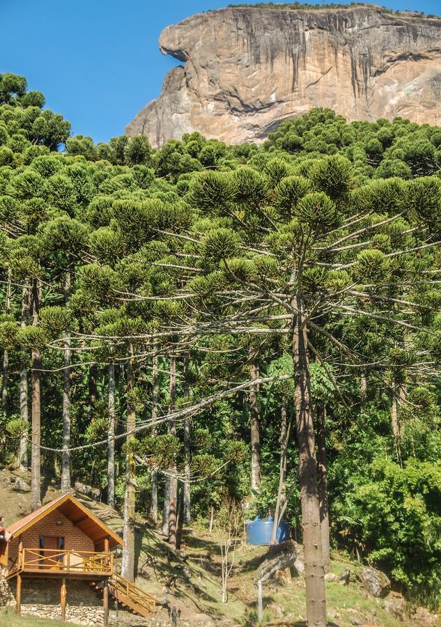 Chales Araucaria E Manaca Sao Bento do Sapucai Εξωτερικό φωτογραφία